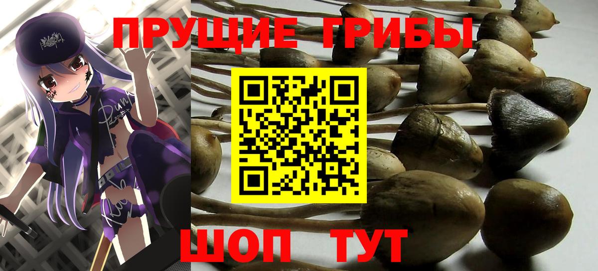 Протвино  Псилоцибиновые грибы ЛСД  дарнет шоп  Вход с VPN 